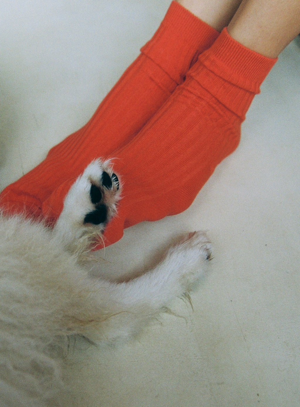 Everyday Sock Pimento