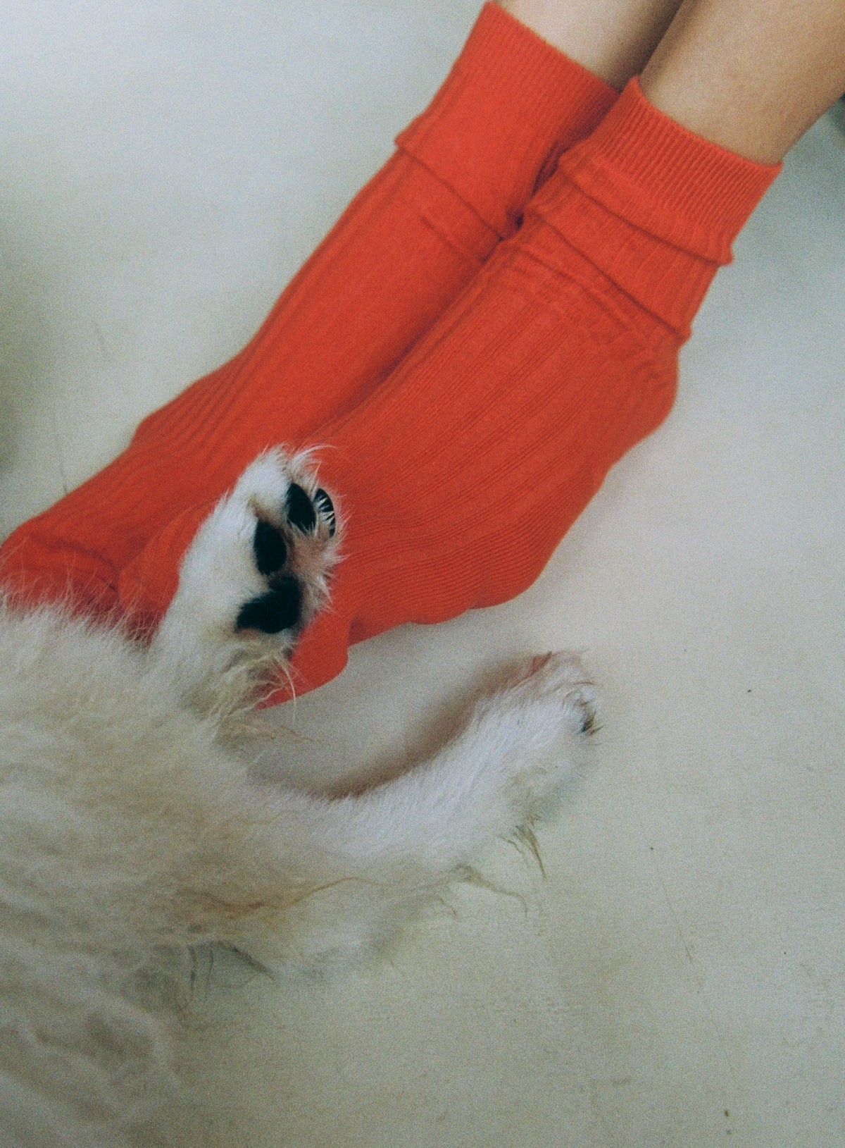 Everyday Sock Pimento
