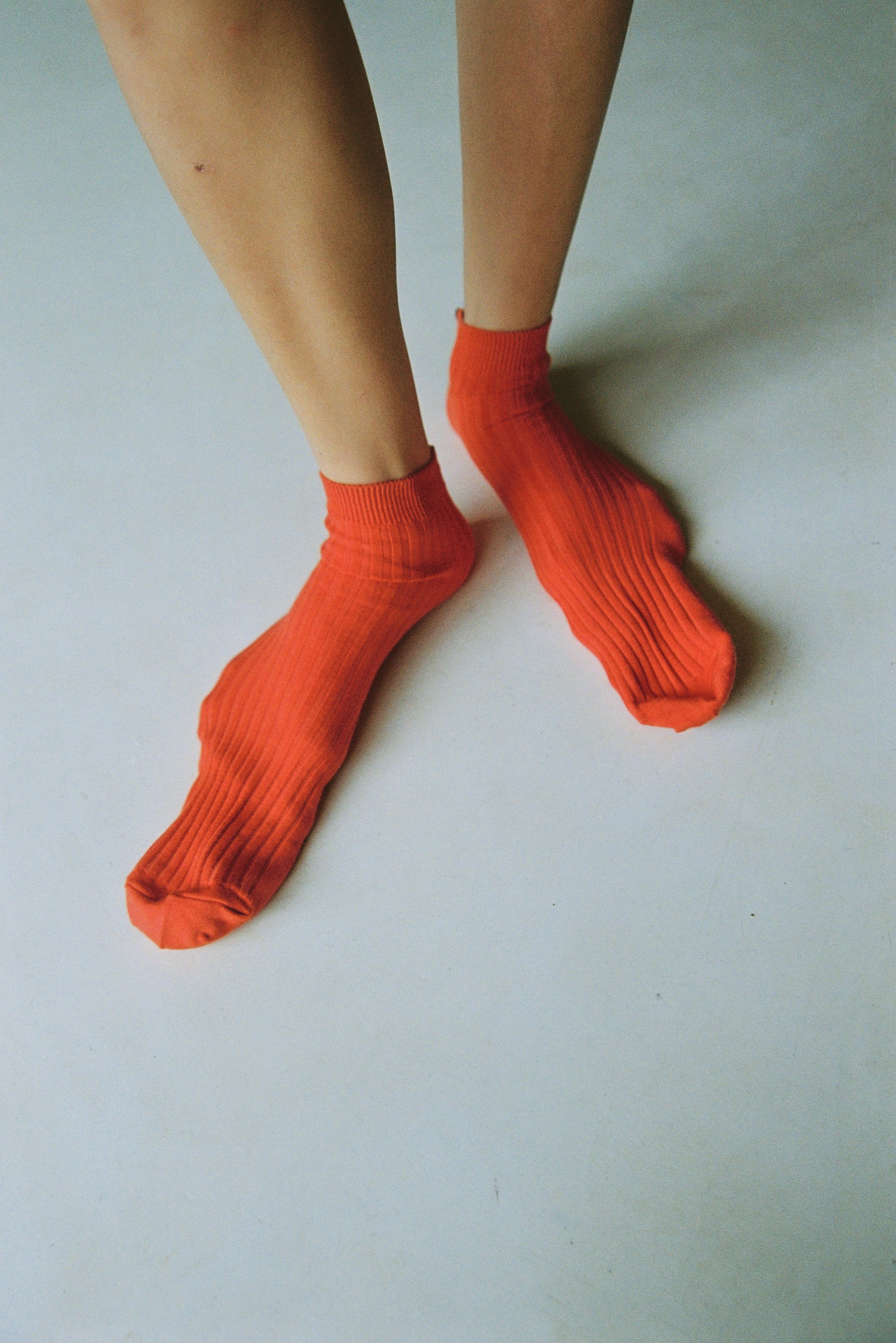 Everyday Sock Pimento